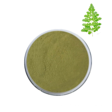 High quality moringa oleifera leaf powder